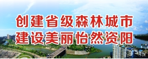 中国肥胖操逼大片创建省级森林城市 建设美丽怡然资阳